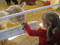 Kids_StateFair-2011 (54)